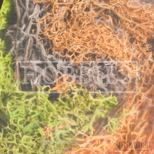 Javis Autumn Mix Lichen Picture 2