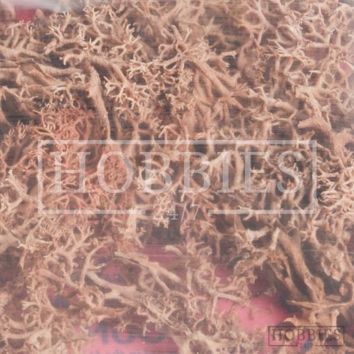 Javis Brown Lichen Picture 2