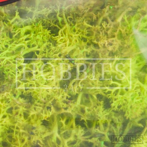 Javis Light Green Lichen Picture 2