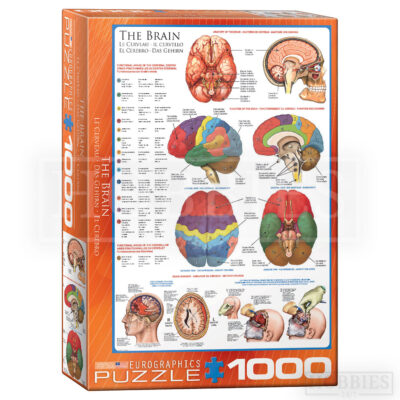 Eurographics The Brain 1000 Piece Jigsaw Puzzle